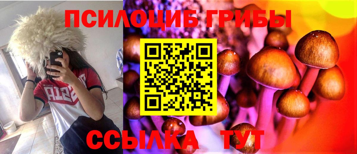 Новотроицк  Галлюциногенные грибы прущие грибы  Вход с VPN  Псилоцибиновые грибы ЛСД 
