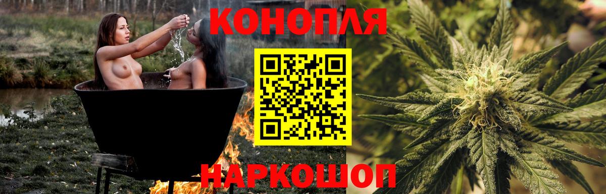 Канабис сатива Новотроицк